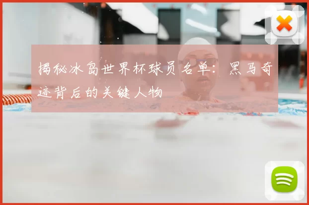 揭秘冰岛世界杯球员名单:黑马奇迹背后的关键人物