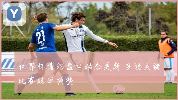世界杯博彩盘口动态更新 多场关键比赛赔率调整