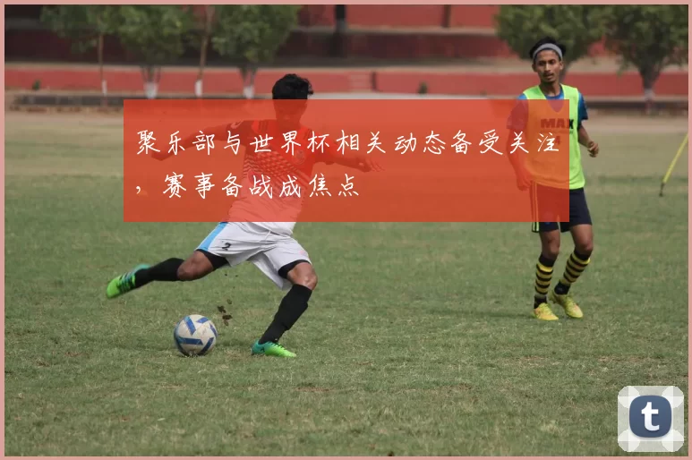 聚乐部与世界杯相关动态备受关注，赛事备战成焦点