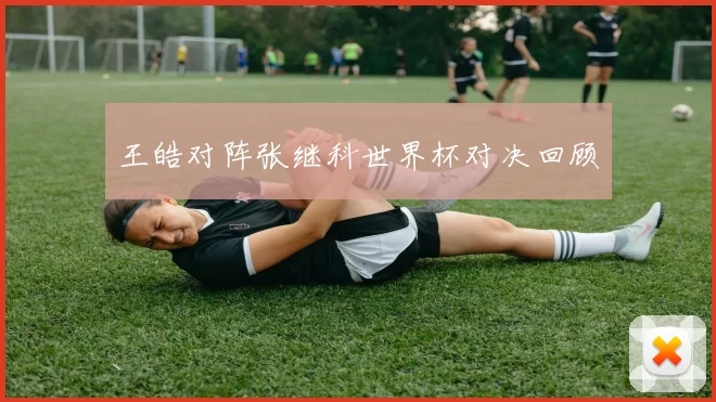 王皓对阵张继科世界杯对决回顾