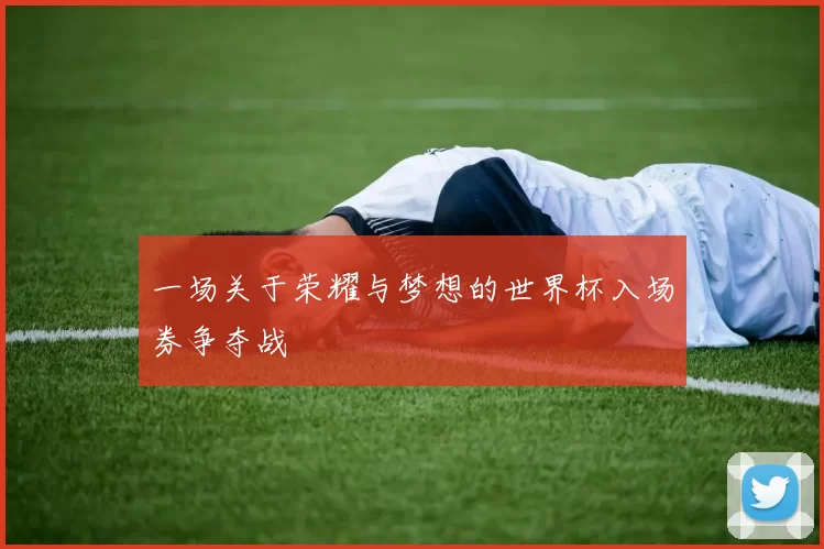 一场关于荣耀与梦想的世界杯入场券争夺战