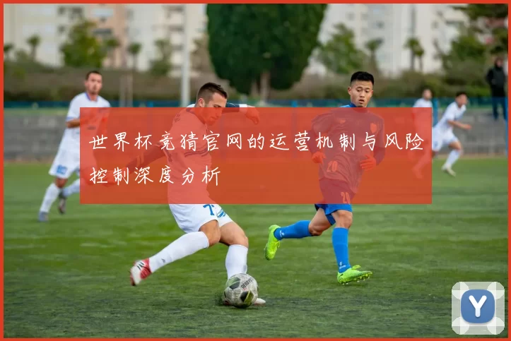 世界杯竞猜官网的运营机制与风险控制深度分析