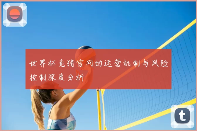世界杯竞猜官网的运营机制与风险控制深度分析
