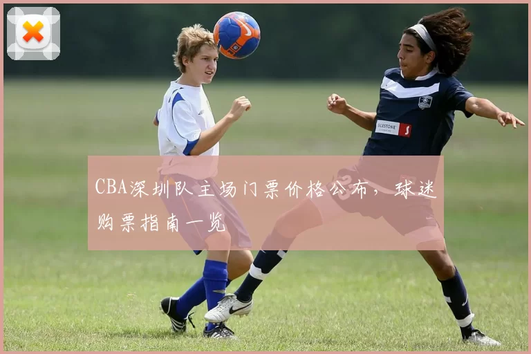 CBA深圳队主场门票价格公布，球迷购票指南一览
