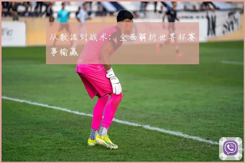 从数据到战术：全面解析世界杯赛事输赢