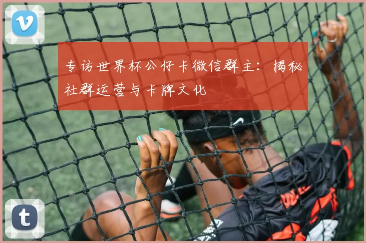 专访世界杯公仔卡微信群主:揭秘社群运营与卡牌文化