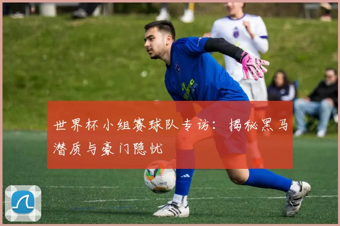 世界杯小组赛球队专访：揭秘黑马潜质与豪门隐忧