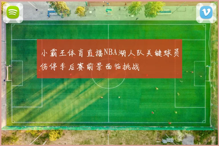 小霸王体育直播NBA湖人队关键球员伤停季后赛前景面临挑战