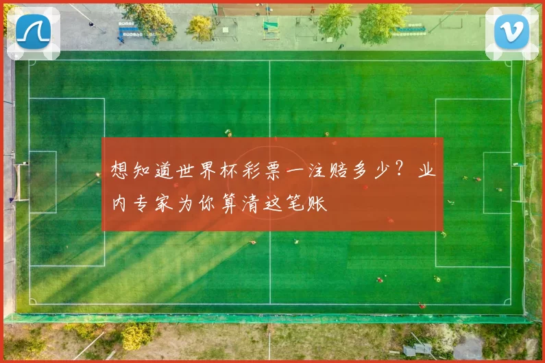 想知道世界杯彩票一注赔多少？业内专家为你算清这笔账