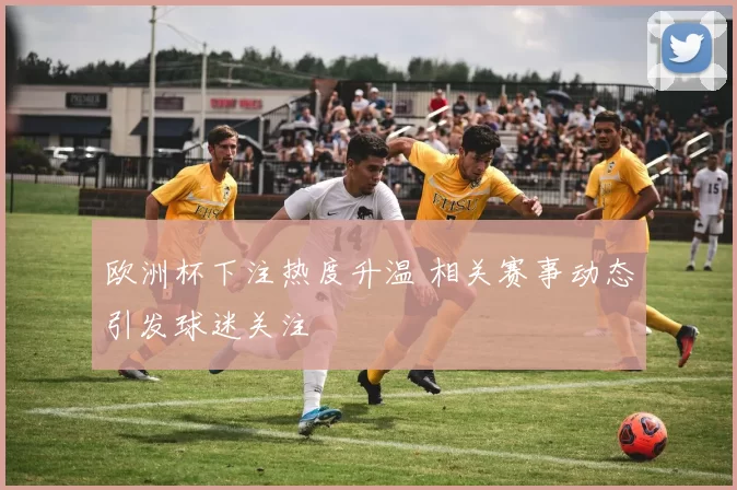 欧洲杯下注热度升温 相关赛事动态引发球迷关注