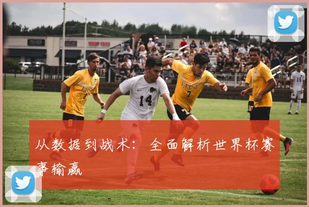 从数据到战术：全面解析世界杯赛事输赢