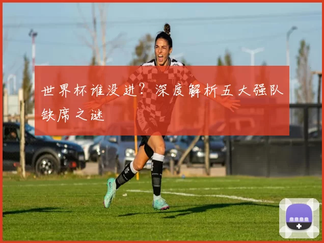 世界杯谁没进？深度解析五大强队缺席之谜